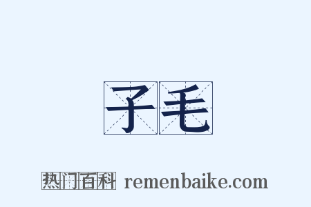 子毛是什么意思的图片